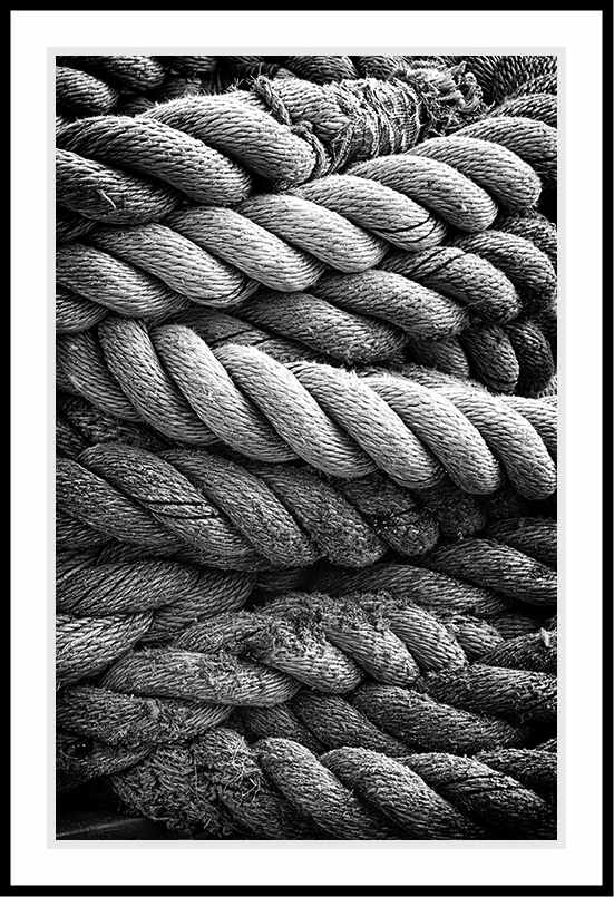 A bundle of large ropes in black and white.