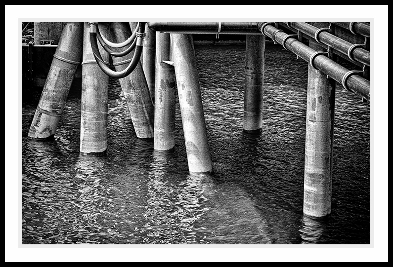 Pier pilings in the water.